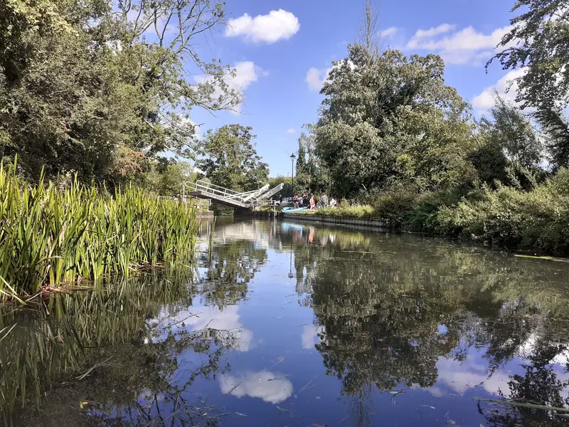 The Basingstoke Canal at sunset